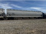 IARX 625409